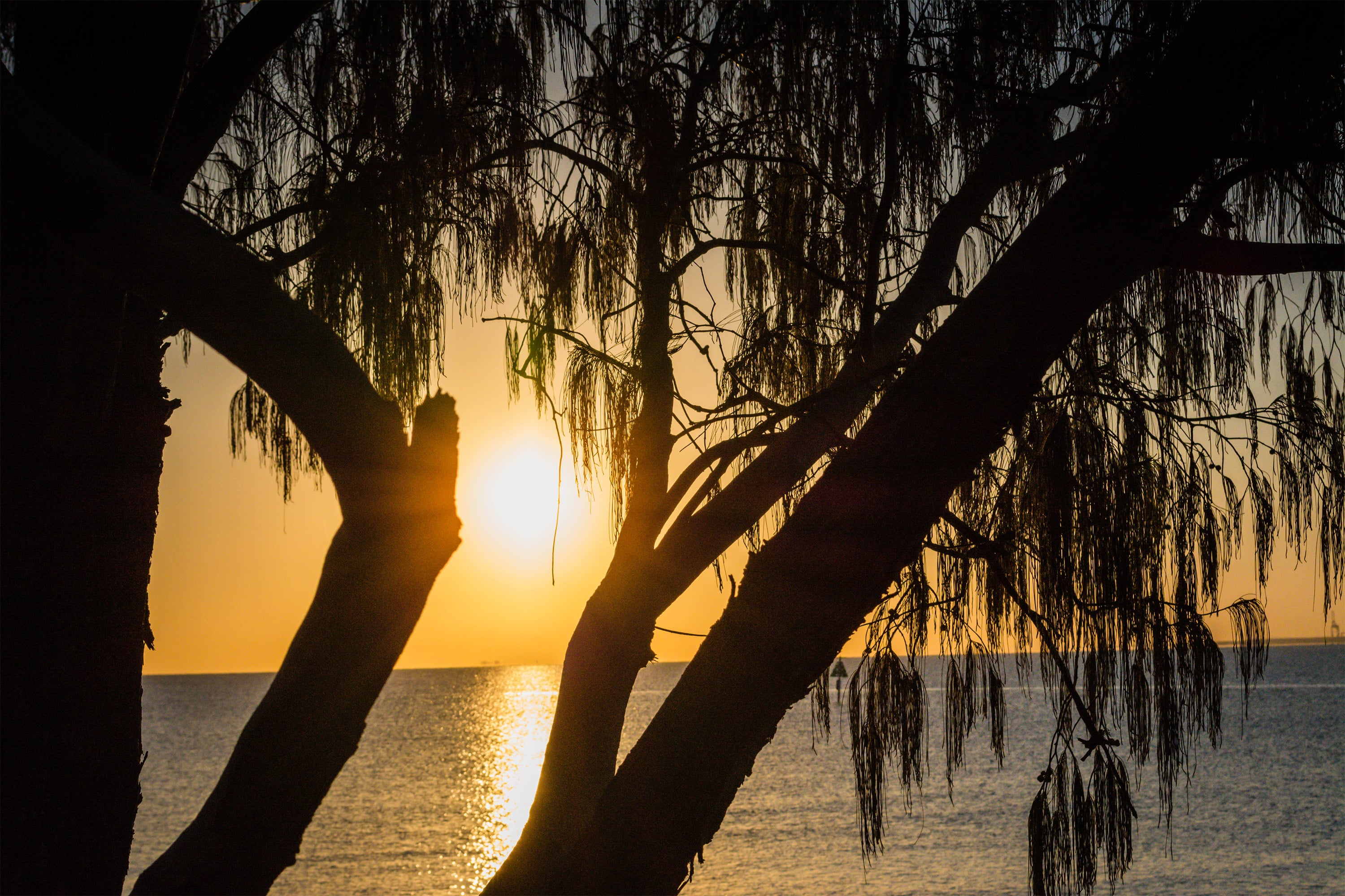 Sunrise at Shorncliffe
