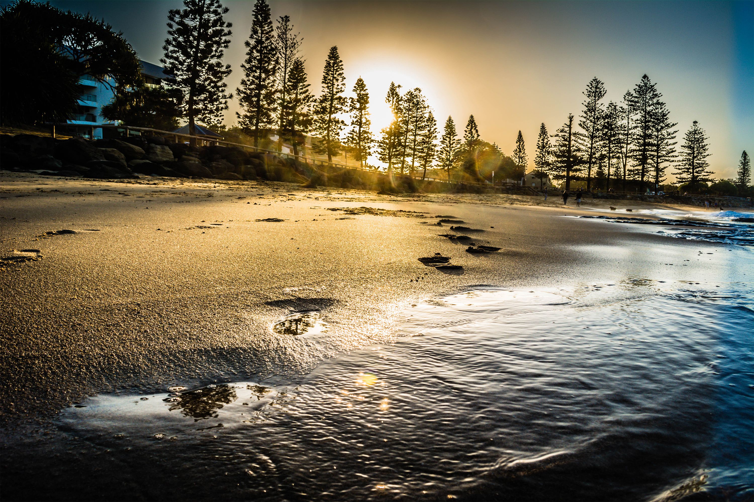 Footprints Walking Into The Sunset