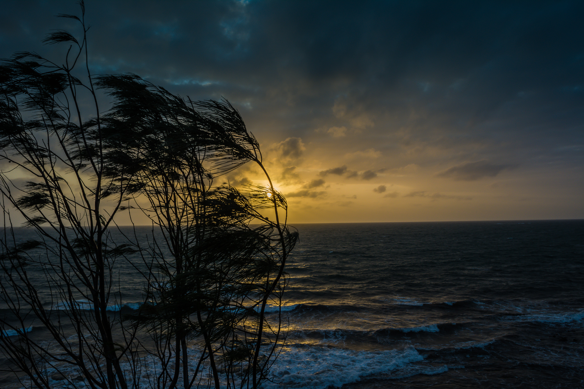 First Light at Moffat Beach Headland