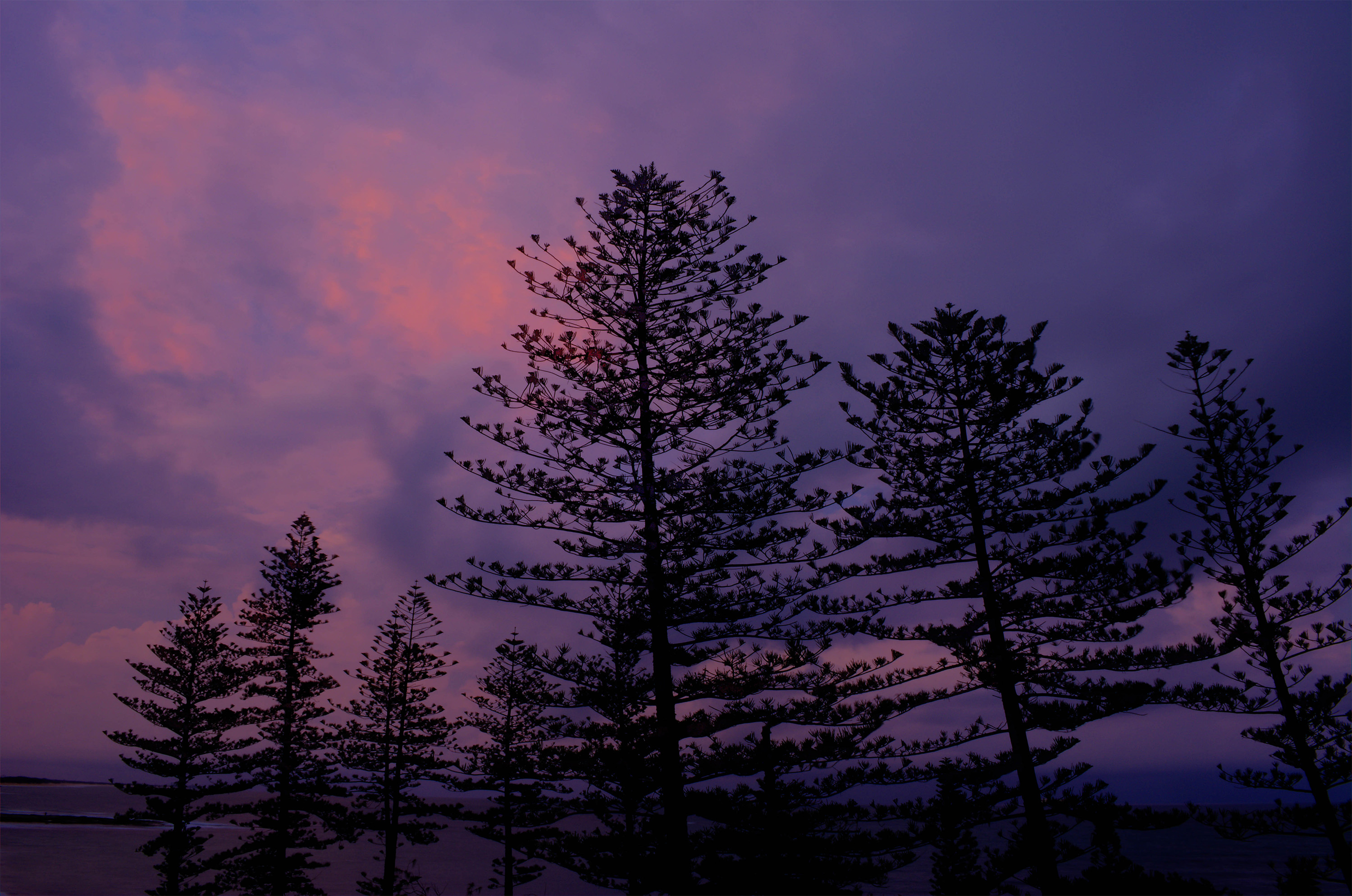 Natures Palette