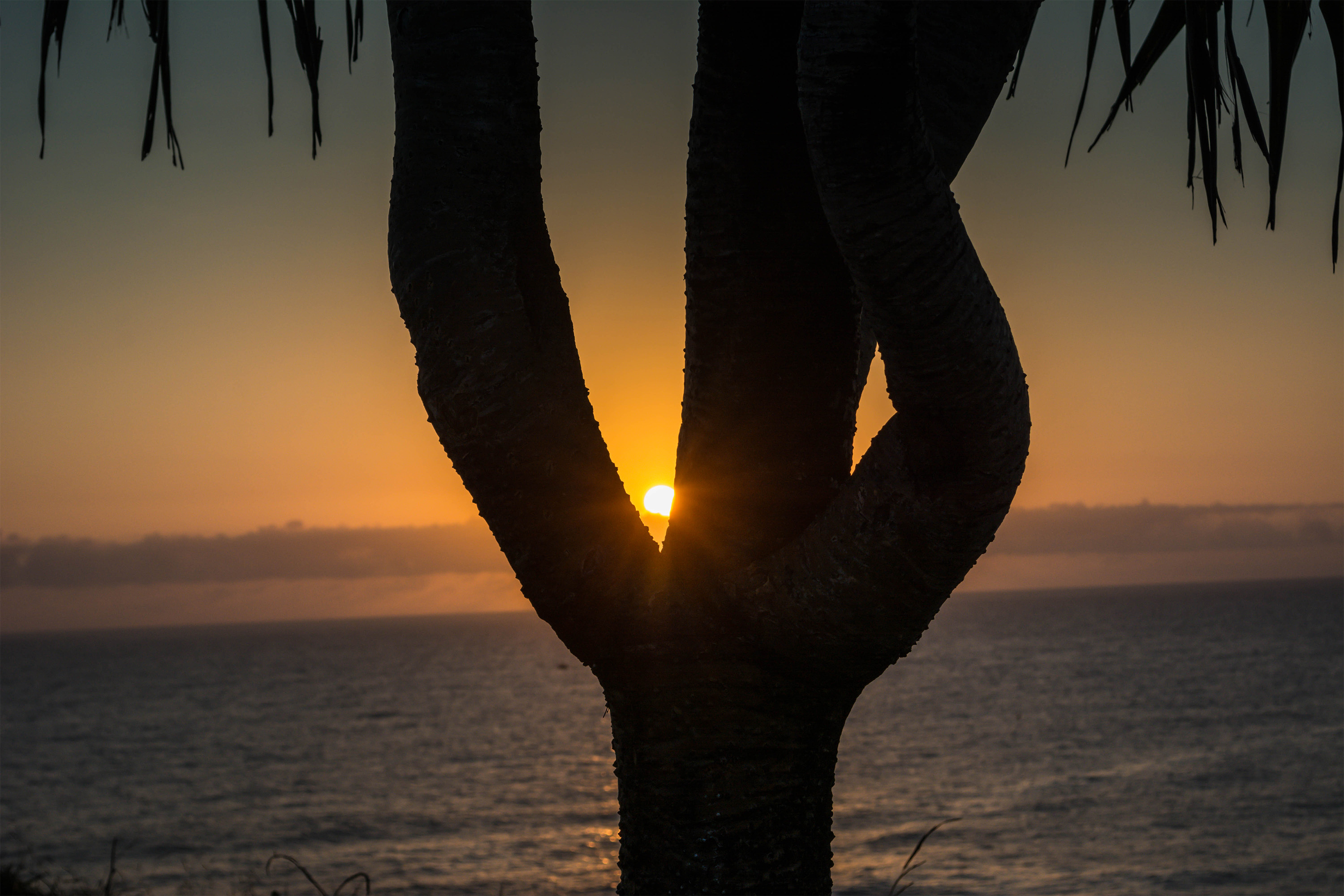 Sunrise at Point Cartwright, Queensland