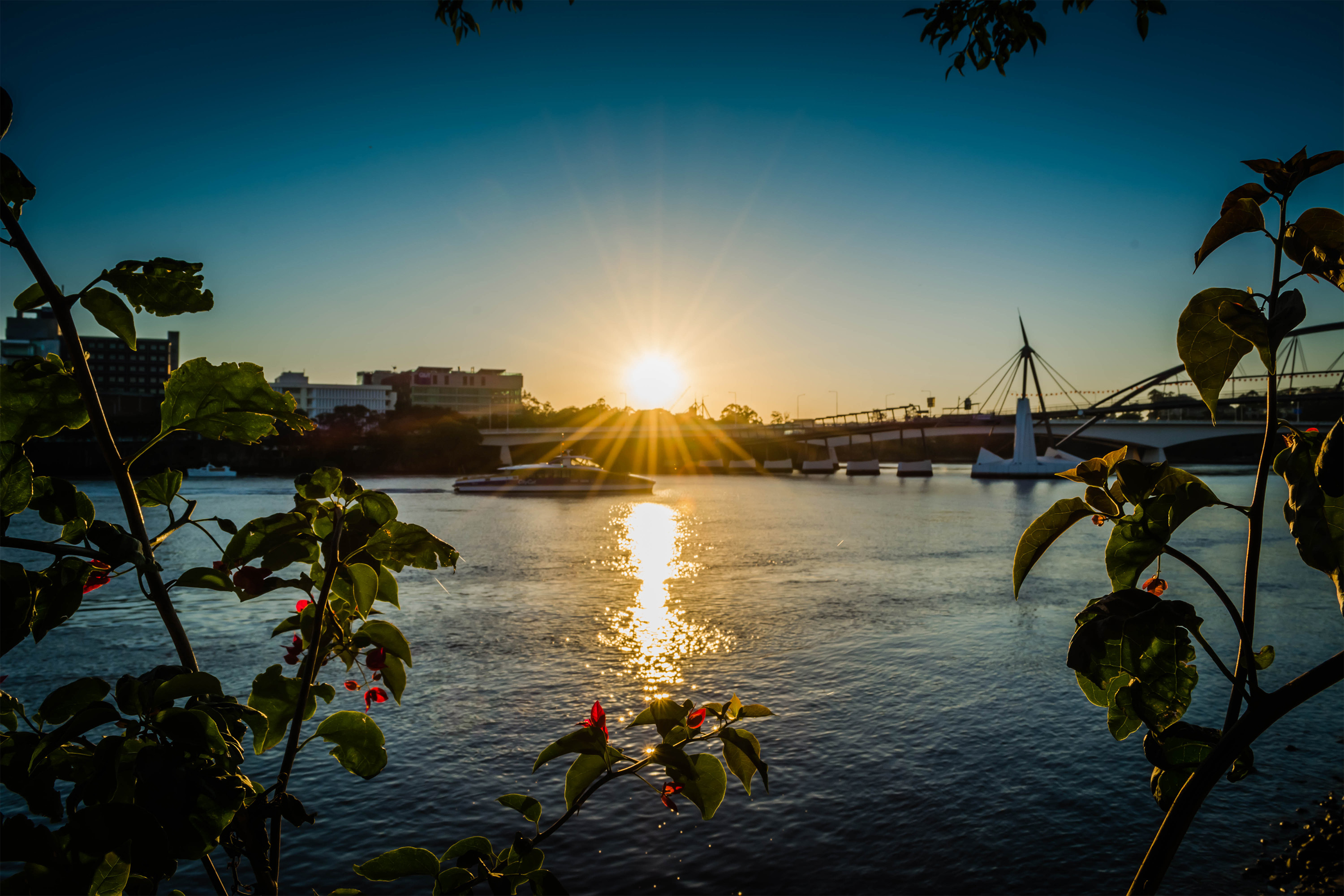 Sunrise from Southbank.