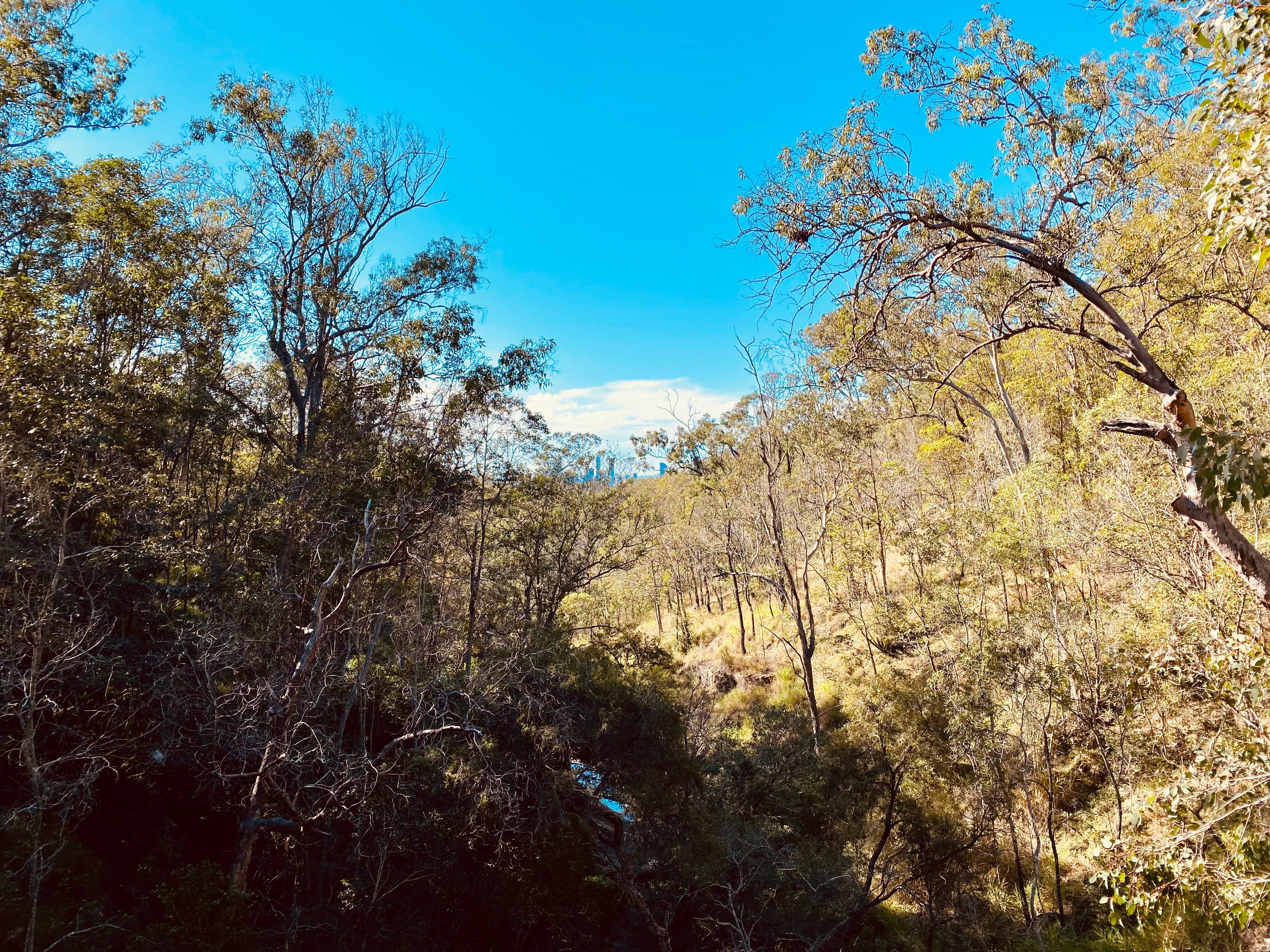 View from walking trail on Mt Coot-tha, Brisbane, Queensland, Australia. 27 June 2021