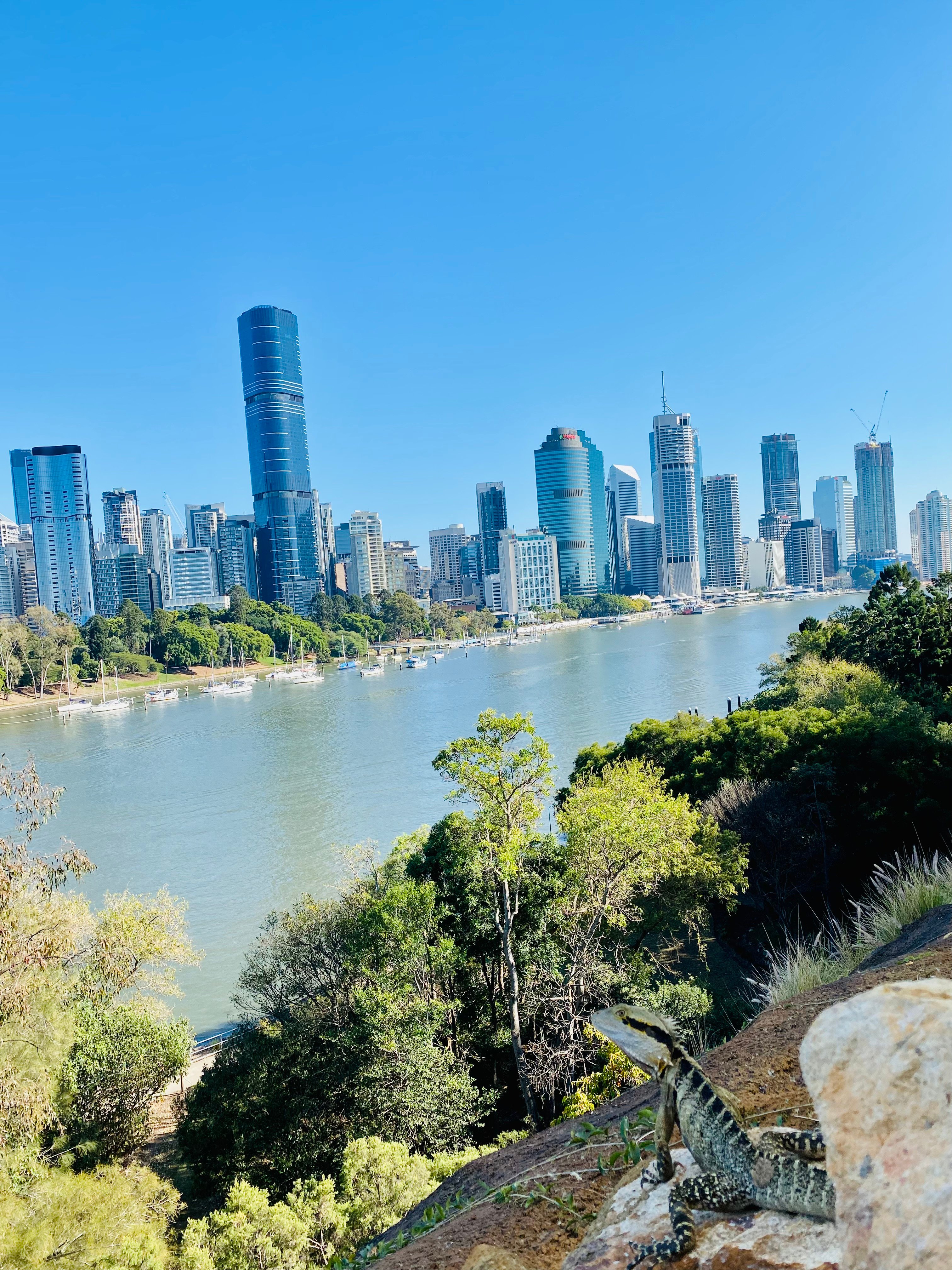 Breakfast at Joeys on top of the Kangaroo Point Cliffs with wildlife and a view. Kangaroo Point Cliffs, Brisbane, Queensland, Australia. 21 August 2021