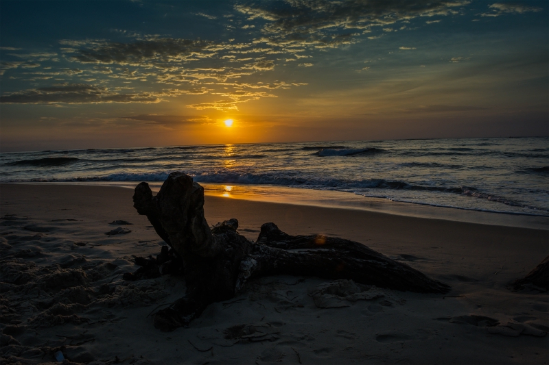 Sunrise At Bulcock Beach.