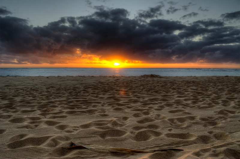 Moffat Beach Sunrise