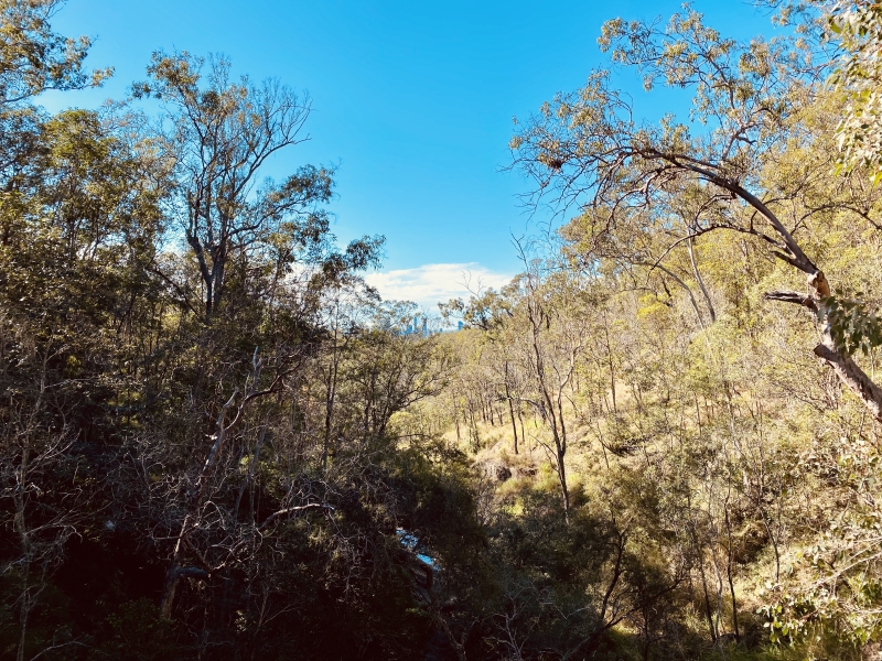 View from walking trail on Mt Coot-tha, Brisbane, Queensland, Australia. 27 June 2021