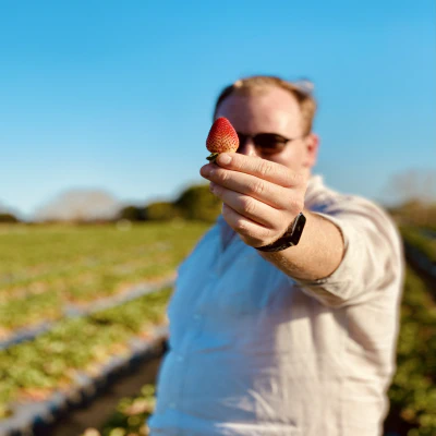 Strawberry Picking
